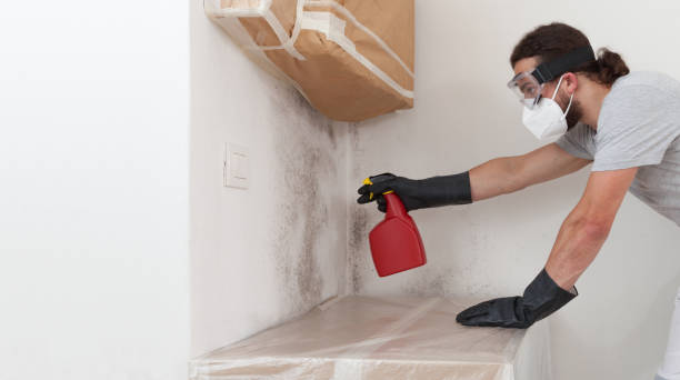 Professional Mold Remediation technician working in Howard, PA