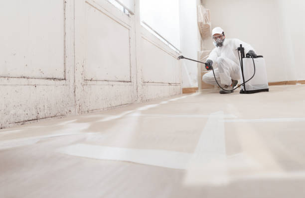 24/7 Emergency Mold Remediation experts in Howard, PA