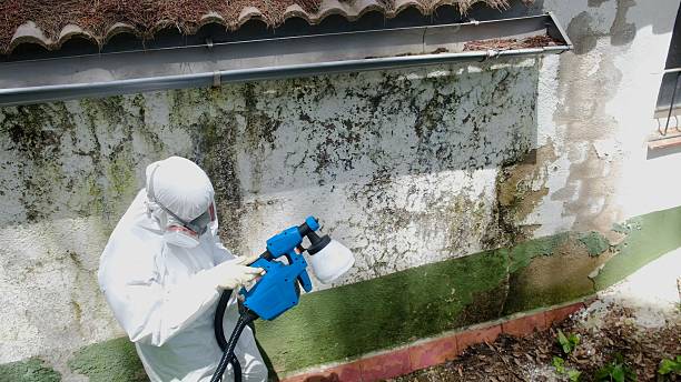 Trusted Mold Remediation service in Howard, PA - Cheap Mold Removal